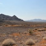 Nevada Desert