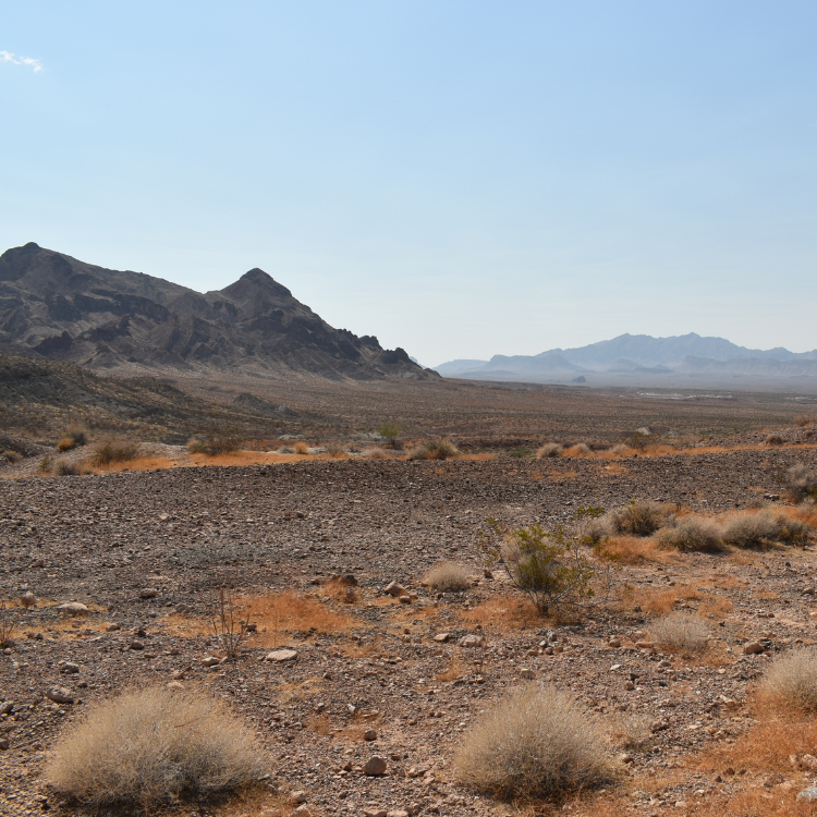Nevada Desert